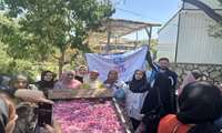 شهر تاریخی کاشان میزبان دانشجویان دختر بین الملل دانشگاه علوم پزشکی ایران