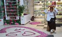 سفری خاطره انگیز به شهر گل وگلاب با دانشجویان بین الملل دانشگاه علوم پزشکی ایران